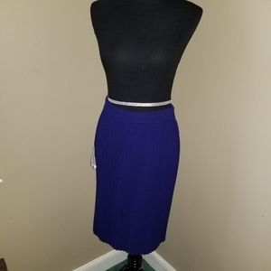 Blue Knit Pleated Skirt